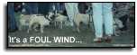 Foul Winds!  (Also Known as PUGS!)